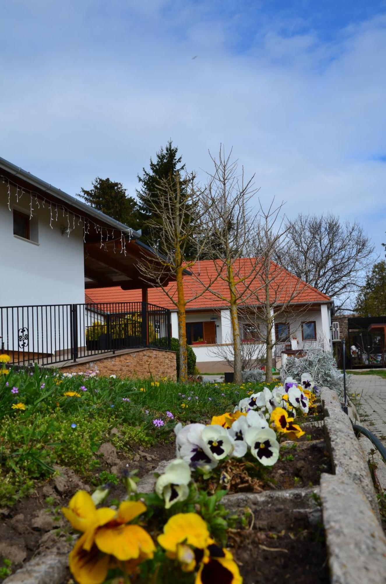 Hotel Kerekerdo Vendeghaz Kisszékely Zewnętrze zdjęcie